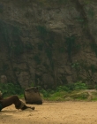 Filename=2025_-_How_To_Train_Your_Dragon_mp44108.jpg
Filesize=880KiB
Dimensions=1920x800
Date added=Oct 11, 2025 2025_-_How_To_Train_Your_Dragon_mp44108.jpg