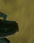 Filename=2025_-_How_To_Train_Your_Dragon_mp44265.jpg
Filesize=628KiB
Dimensions=1920x800
Date added=Oct 11, 2025 2025_-_How_To_Train_Your_Dragon_mp44265.jpg