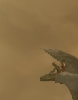 Filename=2025_-_How_To_Train_Your_Dragon_mp44322.jpg
Filesize=536KiB
Dimensions=1920x800
Date added=Oct 11, 2025 2025_-_How_To_Train_Your_Dragon_mp44322.jpg