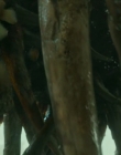 Filename=2025_-_How_To_Train_Your_Dragon_mp46341.jpg
Filesize=649KiB
Dimensions=1920x800
Date added=Oct 11, 2025 2025_-_How_To_Train_Your_Dragon_mp46341.jpg