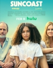 Filename=Suncoast_28229.jpg
Filesize=3412KiB
Dimensions=2430x3600
Date added=Sep 24, 2025 Suncoast_28229.jpg